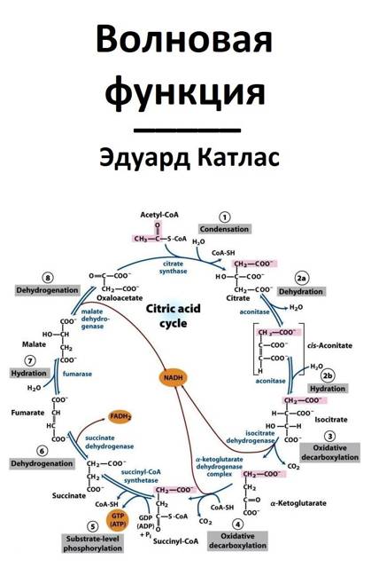 Волновая функция